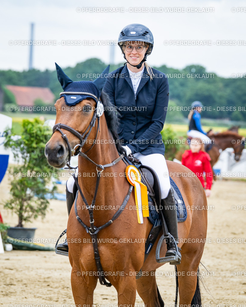 DSC03845 | Pferdegrafie