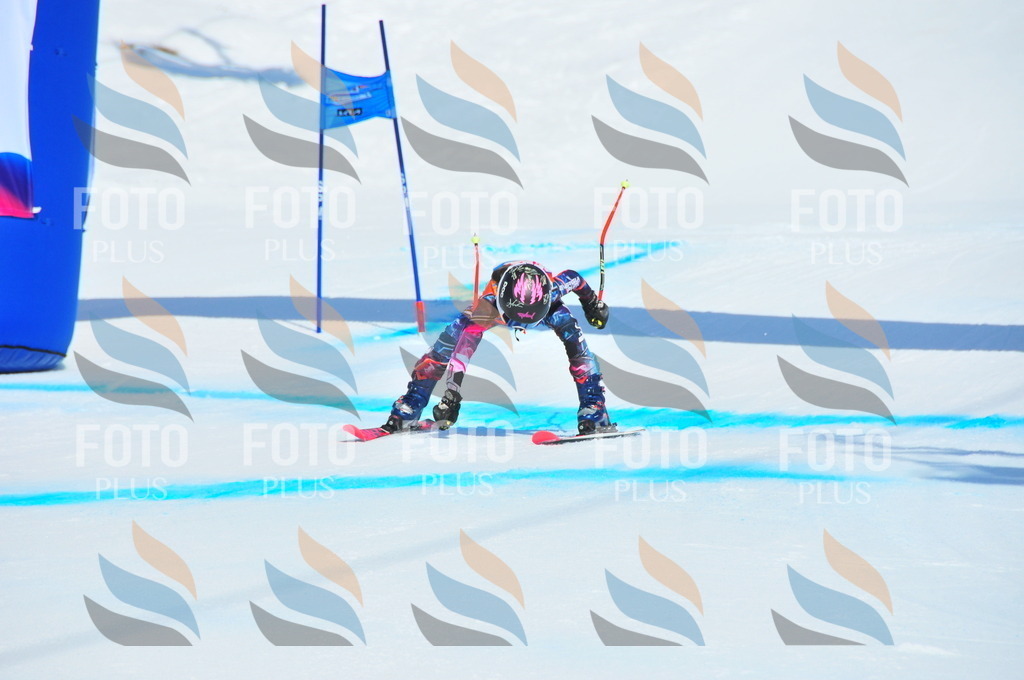 DSC_5020 | holidayphoto