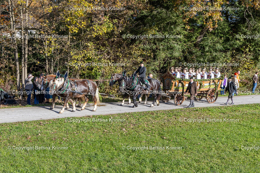 LBT24-467 | foto-bettina-krinner - Realisiert mit Pictrs.com