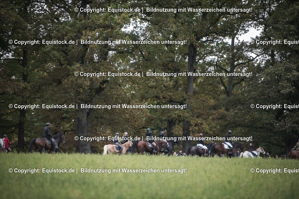 20241013_Jagd-Marbach_0327 | Foto: Thomas Hartig