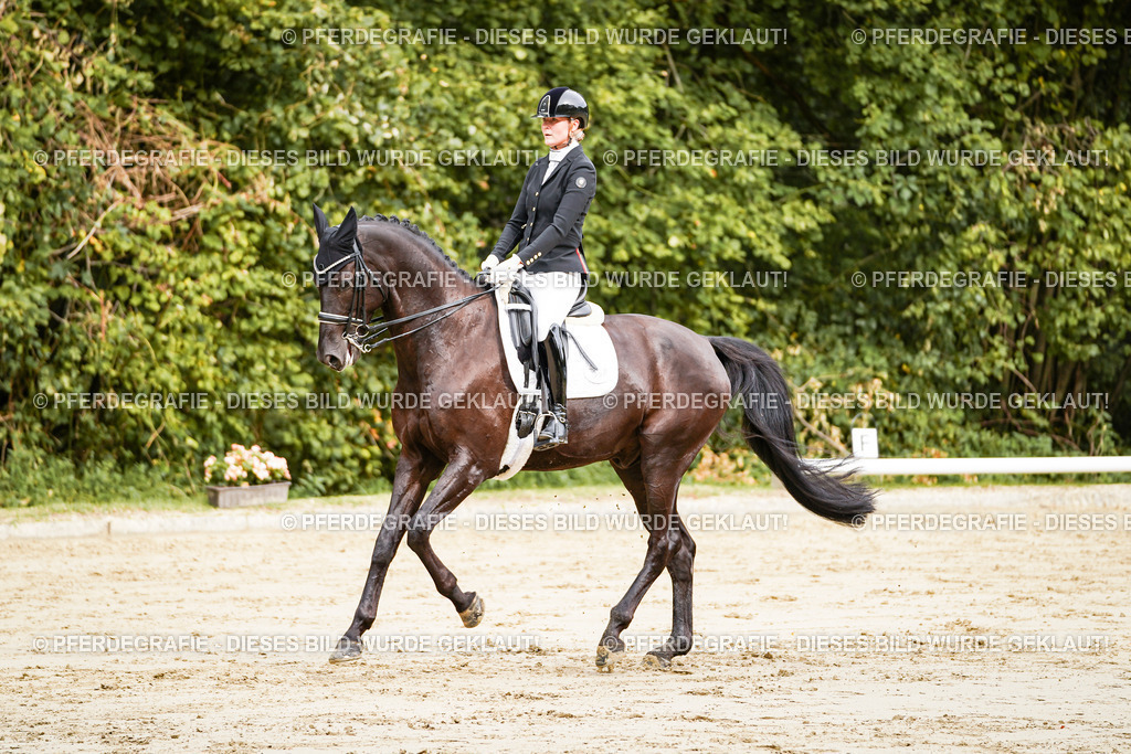 DSC02392 | Pferdegrafie