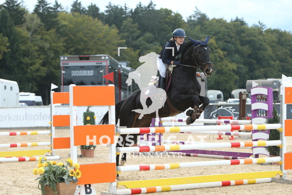 DL2Q7379 | Willkommen bei Brunnmayr - Design & Fotografie – Ihrem Spezialisten für Reitturniere und Pferdeveranstaltungen in Oberösterreich, Salzburg und Bayern! Seit über 17 Jahren sind wir leidenschaftlich dabei.