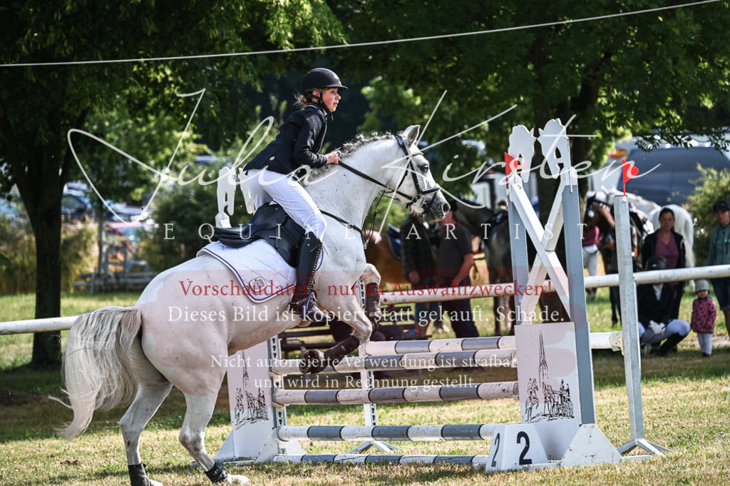 DSC_7722 | Pferde- und Turnierfotografie in Westsachsen. Pferdeportraits, Auftragszeichnungen und intuitive Kunst.