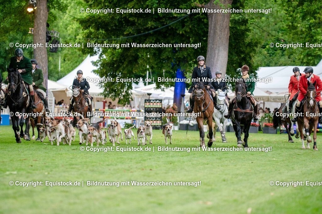 20250606_Lange-Pferdenacht_0494 | Foto: Thomas Hartig