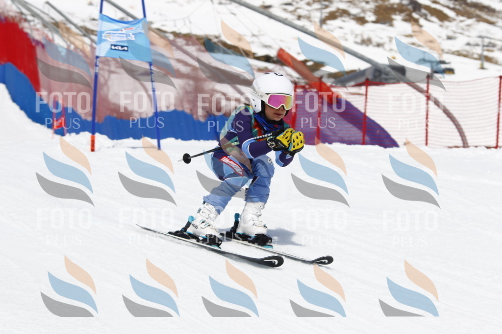 _U3G7814 | holidayphoto