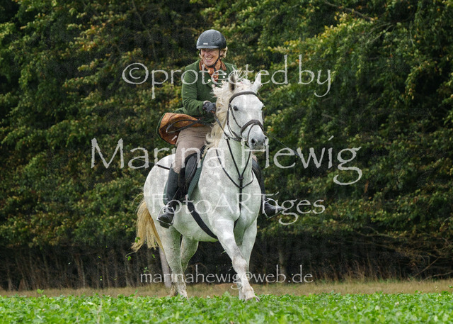 Jagd Perdoel_MarinaHewigMCH04013 | Fotografie, FotoArt, PferdesportArt, Pferdesportfotografie, Landschaftsfotografie, Reisefotografie, Reise, Pferde - Realisiert mit Pictrs.com