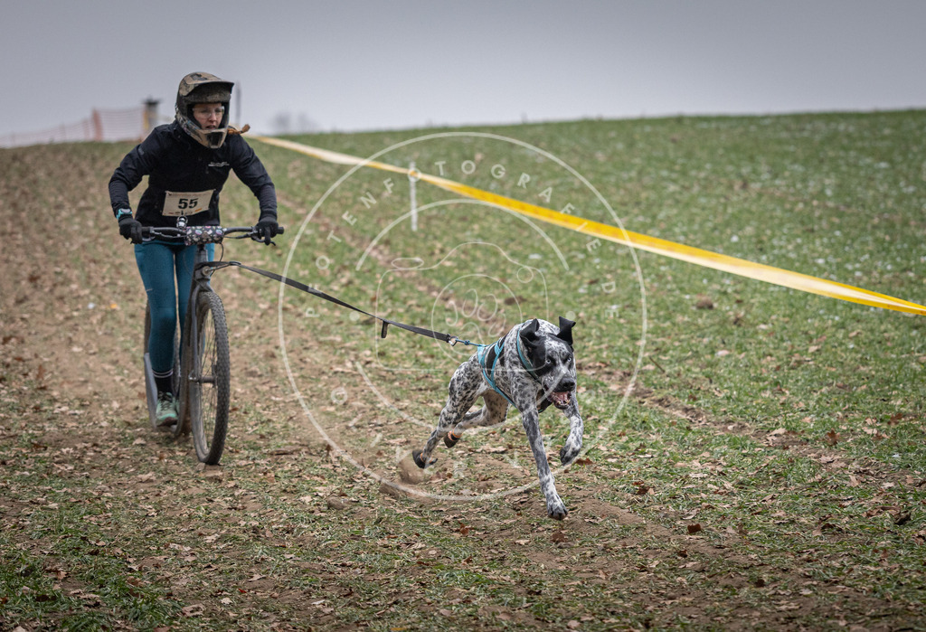 Pfotenfotografie_DV3A1194 | Hundefotografie, Tierfotograf, Pfotenfotografie, Fotoshooting Hund, Hunde Portrait, Hundesport, Hundeportraits, Heideshooting, Hunde, Sportfotograf, Hundefotograf, Turnierhundsport, THS,  - Realisiert mit Pictrs.com