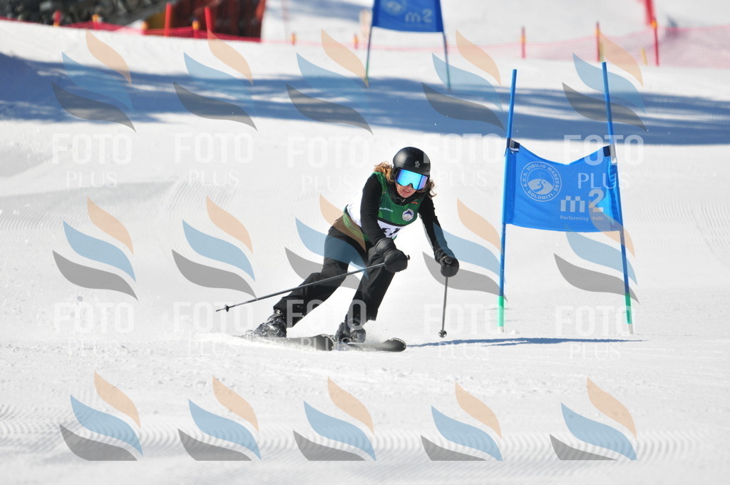 C4002 | holidayphoto