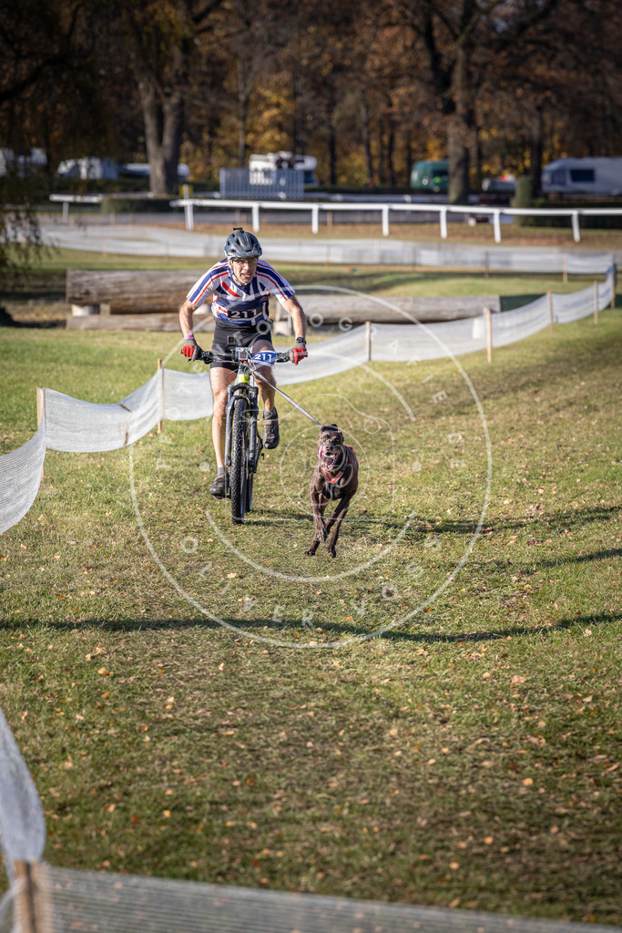 CaniXpix_DV3A3108 | Hundefotografie, Tierfotograf, Pfotenfotografie, Fotoshooting Hund, Hunde Portrait, Hundesport, Hundeportraits, Heideshooting, Hunde, Sportfotograf, Hundefotograf, Turnierhundsport, THS,  - Realisiert mit Pictrs.com