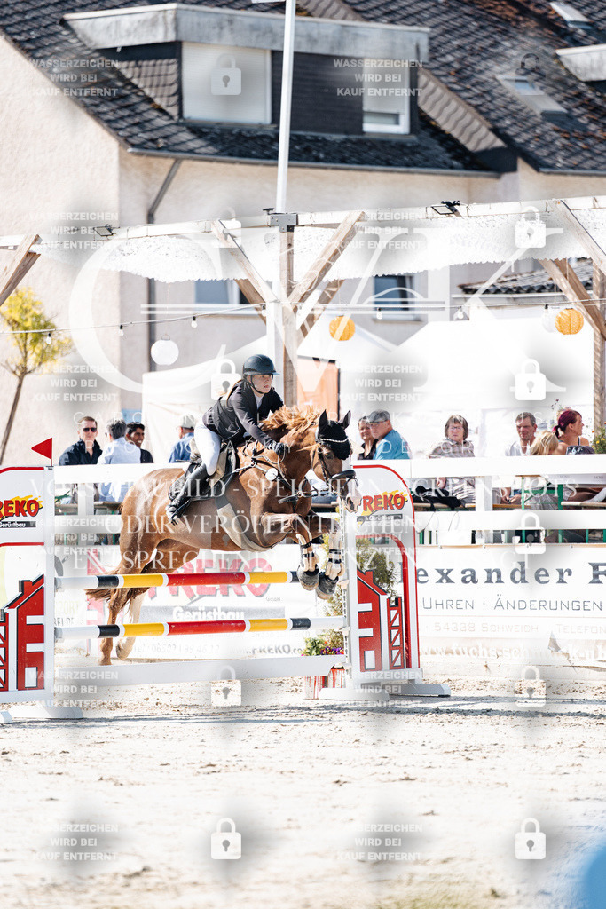 CK907777 | Turnierfotografie Pferdefotografie Trier Rheinland-Pfalz Pferdesport Reitsport Tierfotografie Sportfotografie Pferdevideo Pferdevideografie Equestrianvideography equestrianphotography  - Realisiert mit Pictrs.com