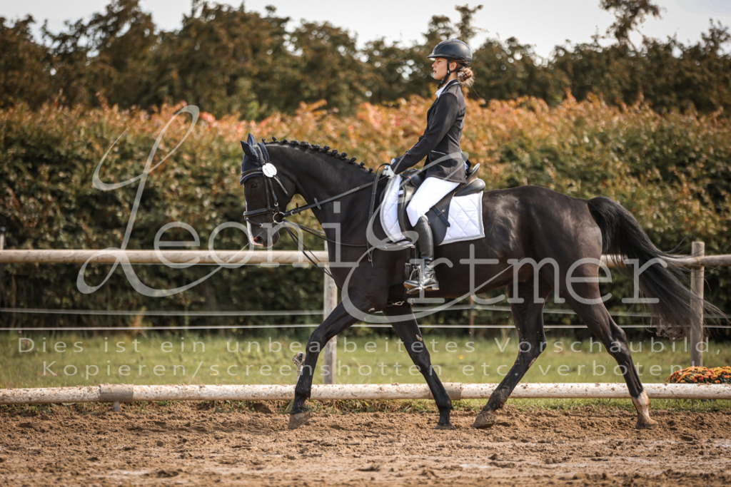 02.SoDrWB00302 | Leoni Ertmer Photography - Realisiert mit Pictrs.com