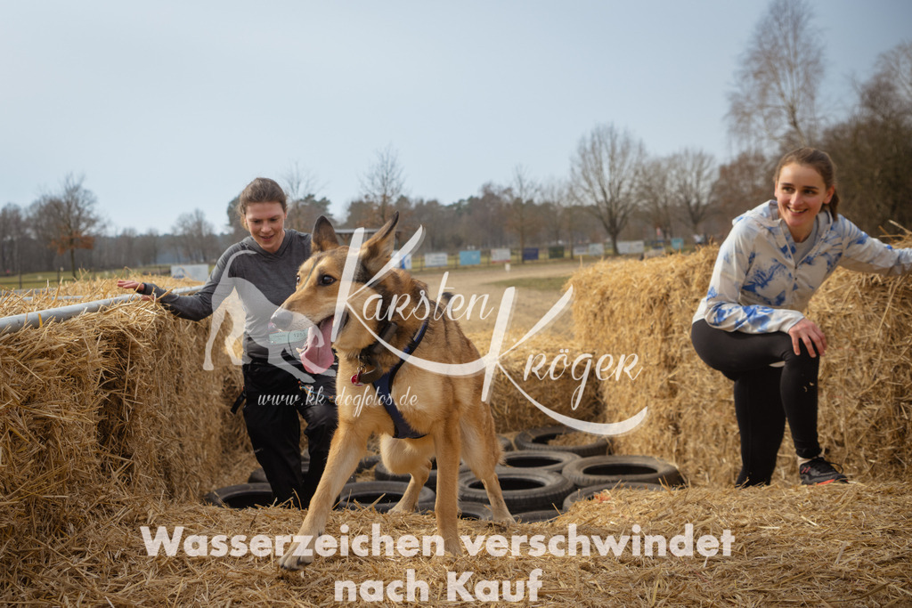 1131_ZZ94034 | kk-dogfotos