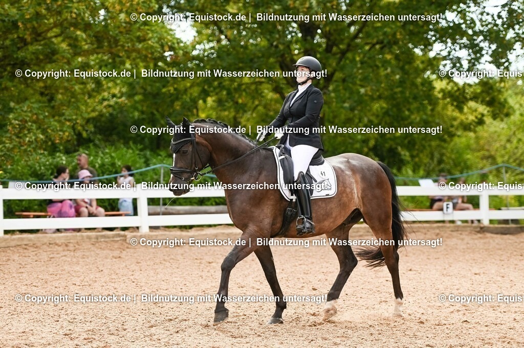 20230715_07_Dressurpferdeprfg. Kl.L_0101 | equistock