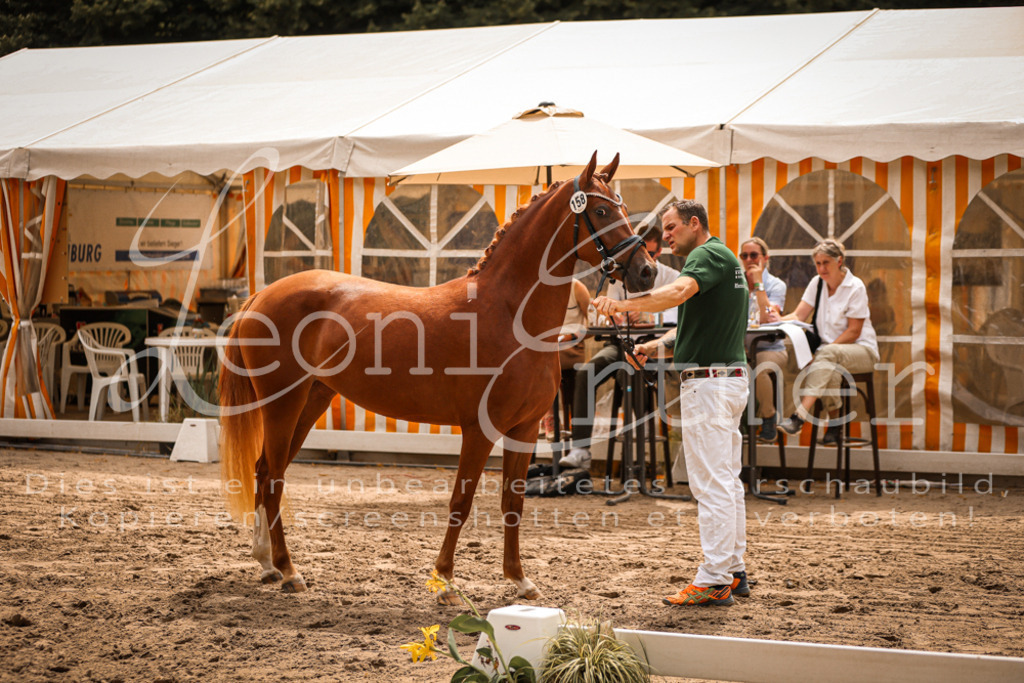 10.So00091 | Leoni Ertmer Photography - Realisiert mit Pictrs.com