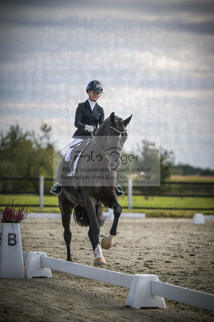 DOS_0225 | Entdecke hochwertige Reitturnierfotos von Foto Oger. Professionell, emotional und authentisch – jetzt Lieblingsmomente im Shop bestellen.Deutschlandweite Turnierfotografie. - Realisiert mit Pictrs.com