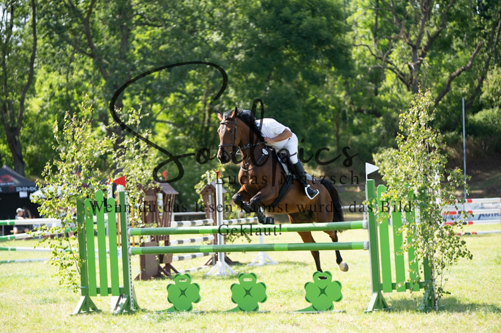 A7V06648 | Pferdefotograf