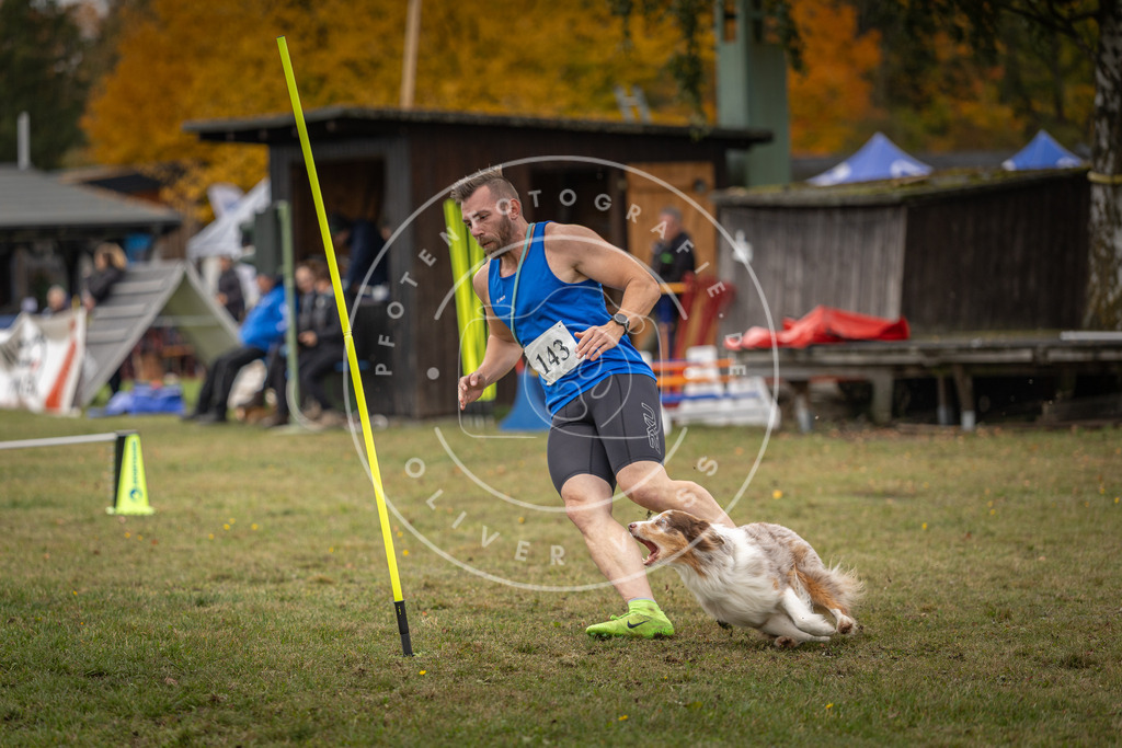 Pfotenfotografie_DV3A7783 | Hundefotografie, Tierfotograf, Pfotenfotografie, Fotoshooting Hund, Hunde Portrait, Hundesport, Hundeportraits, Heideshooting, Hunde, Sportfotograf, Hundefotograf, Turnierhundsport, THS,  - Realisiert mit Pictrs.com
