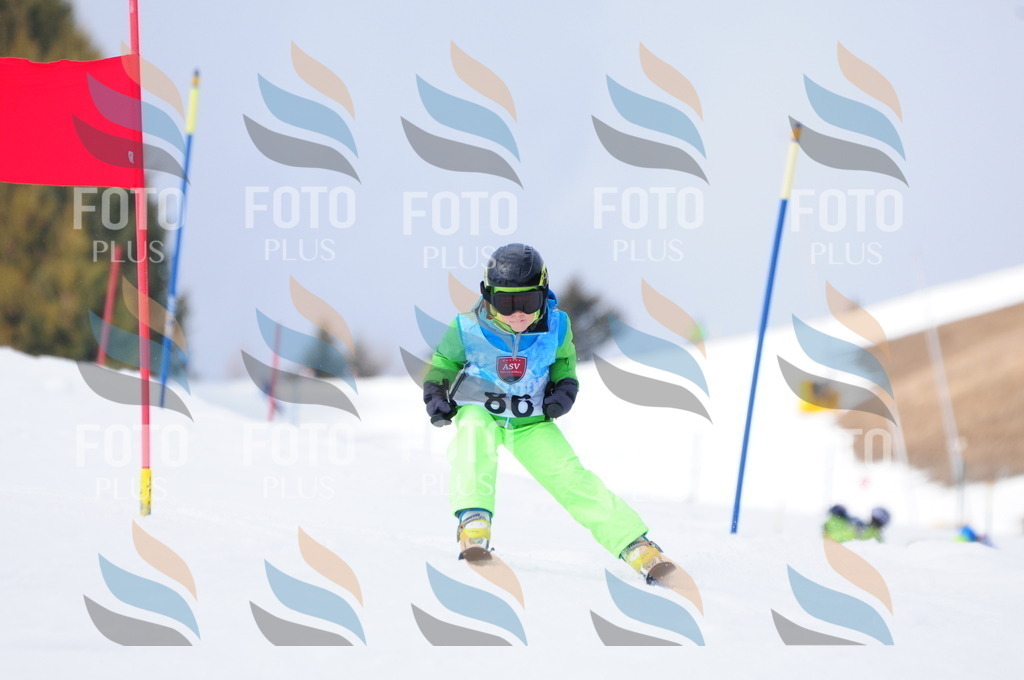 A3757 | holidayphoto