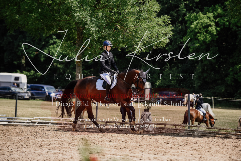 DSC_1154 | Pferde- und Turnierfotografie in Westsachsen. Pferdeportraits, Auftragszeichnungen und intuitive Kunst.
