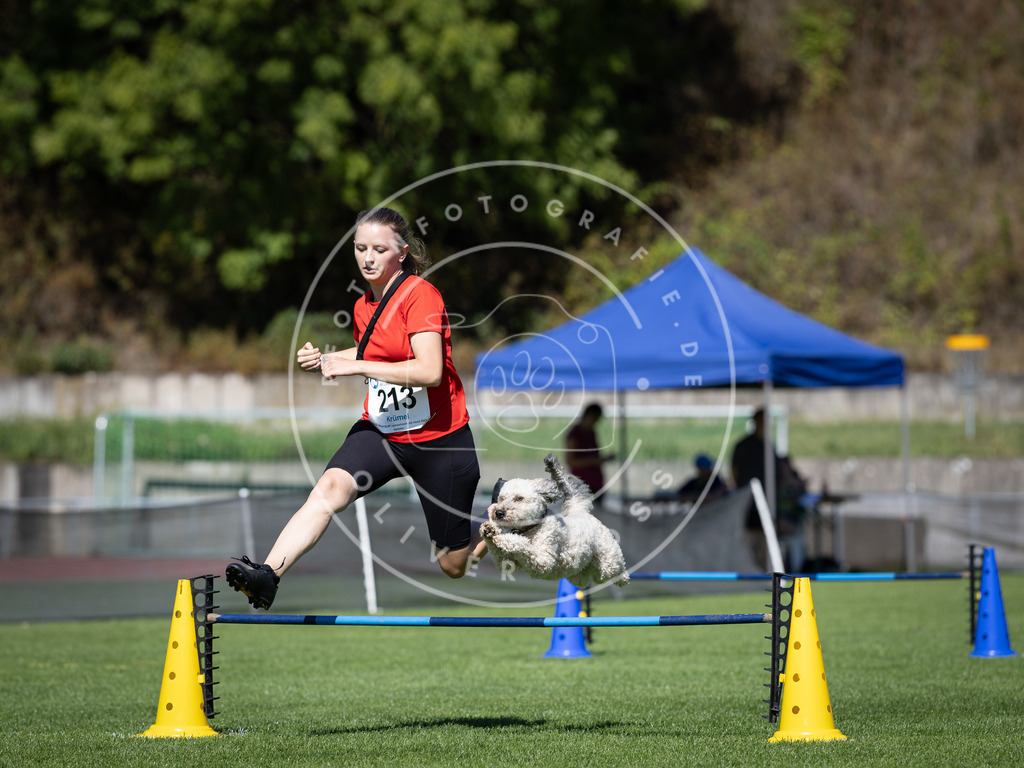 Pfotenfotografie_DV3A5224 | Hundefotografie, Tierfotograf, Pfotenfotografie, Fotoshooting Hund, Hunde Portrait, Hundesport, Hundeportraits, Heideshooting, Hunde, Sportfotograf, Hundefotograf, Turnierhundsport, THS,  - Realisiert mit Pictrs.com