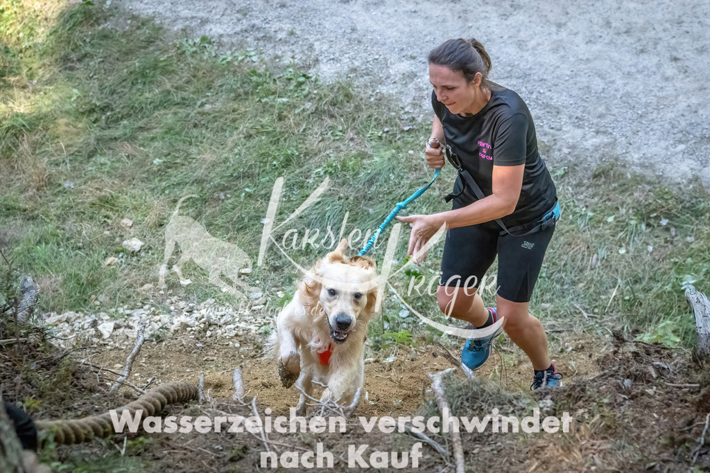 1155_ZZ92550 | kk-dogfotos