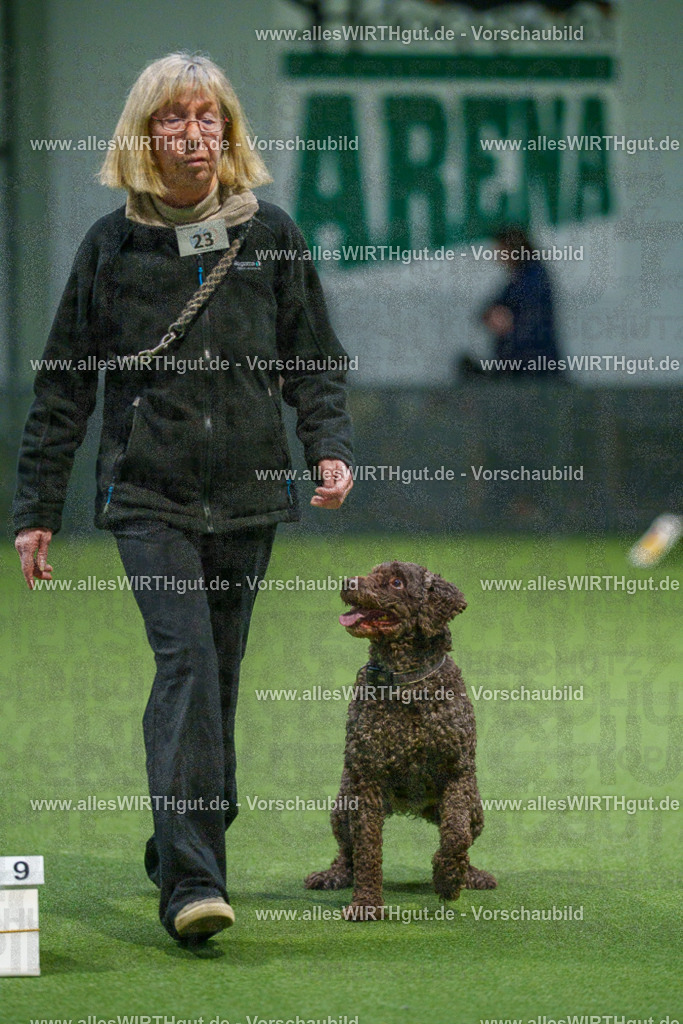 7R504916 | Professionelle Tierfotografie in Mönchengladbach von Daniel Wirth (allesWIRTHgut). Liebevolle & natürliche Bilder von Hunden & Katzen für unvergessliche Erinnerungen.