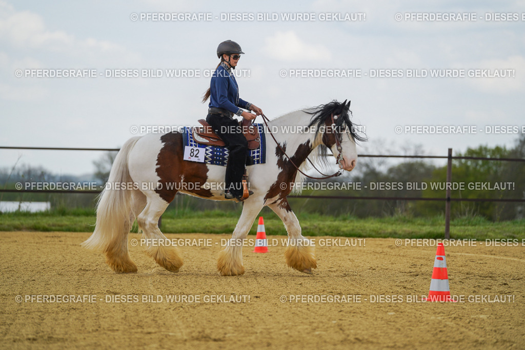 DSC05956 | Pferdegrafie