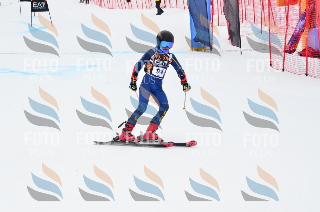 _ELE3501 | holidayphoto