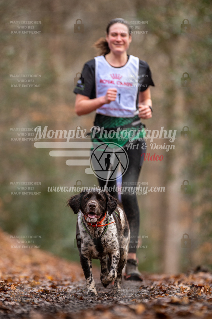 SPA_2023_DIM_CCL-141 | PayLife