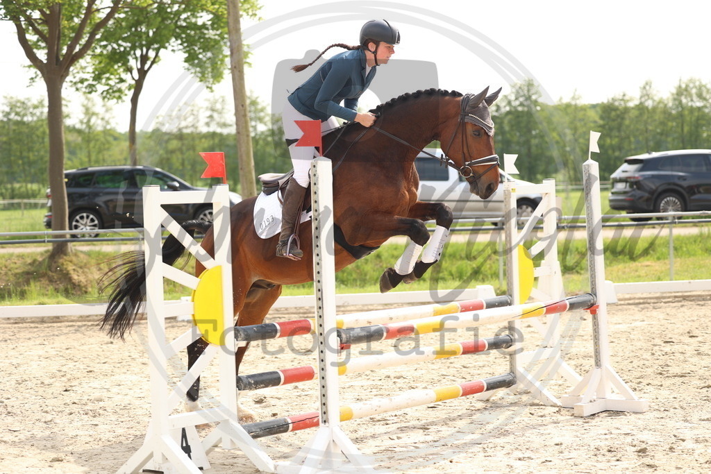 994A7811 | sabrinanicolaifotografie - Realisiert mit Pictrs.com