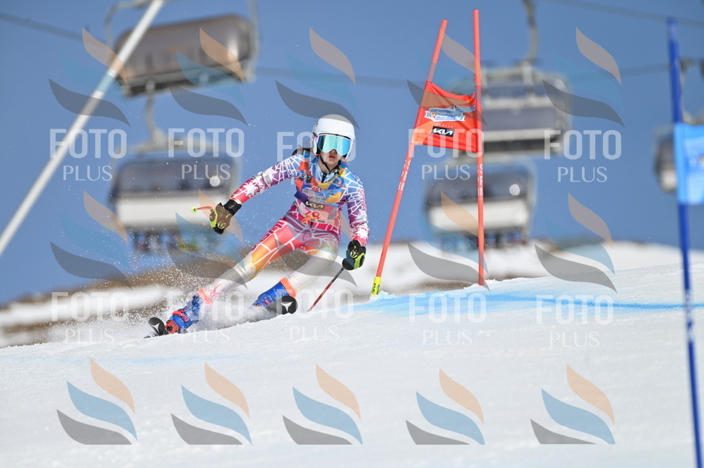 BGV_9026 | holidayphoto