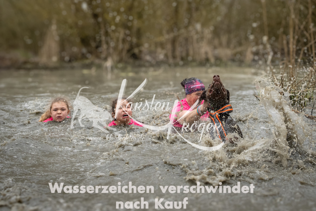 1252_ZZ92368 | kk-dogfotos
