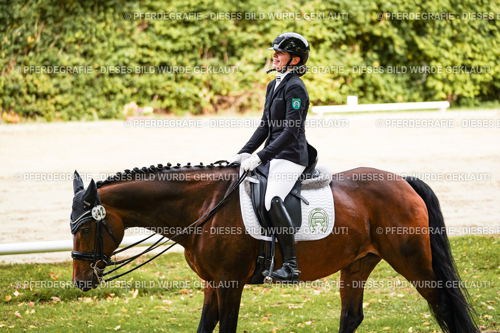 DSC02119 | Pferdegrafie