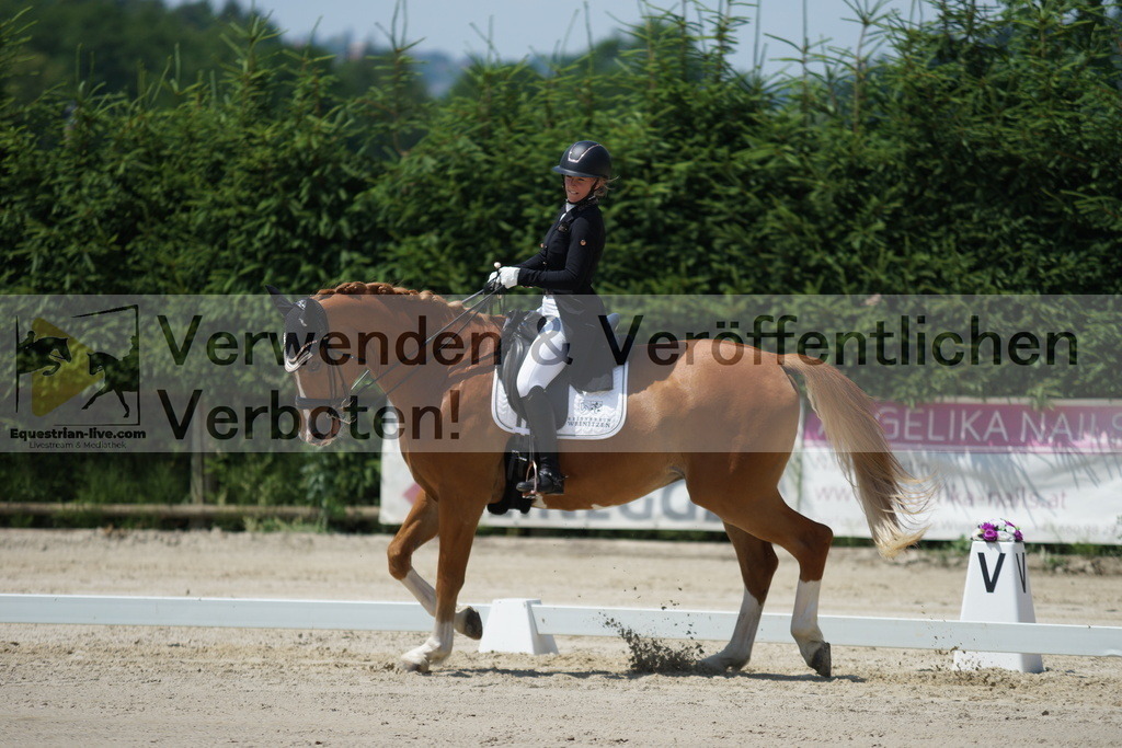 DSC05023 | equestrian-live-com