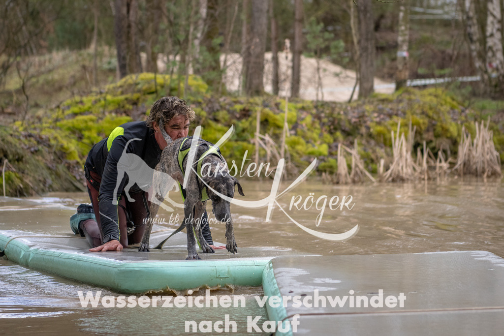 0939_ZZ90934-Bearbeitet | kk-dogfotos