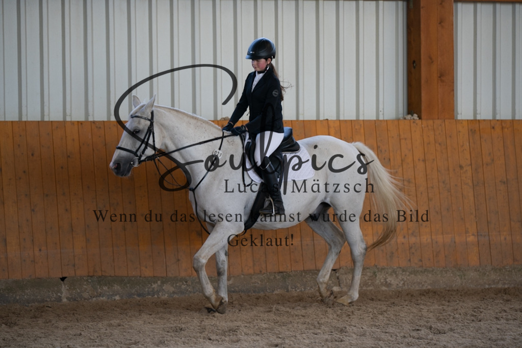 A7V02058 | Turnier/Reitfotograf