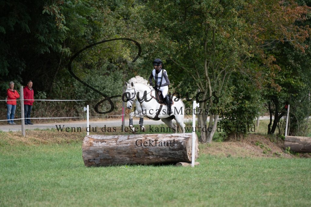 A7V00762 | Pferdefotograf