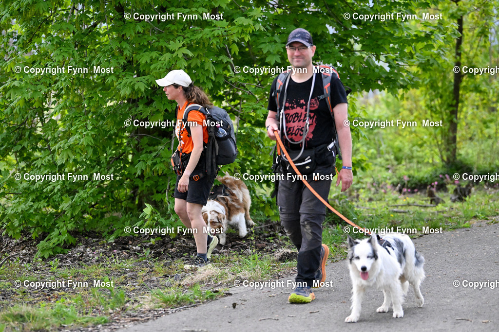 DSC_5545 | Hallo und herzlich Willkommen auf meiner Shop-Seite Fynn Most.

Ich wünsche Dir viel Spaß beim stöbern durch die Bilder, wenn Du Fragen hast oder Bilder vermisst, kannst du mir gerne eine Nachricht schreiben. - Realisiert mit Pictrs.com