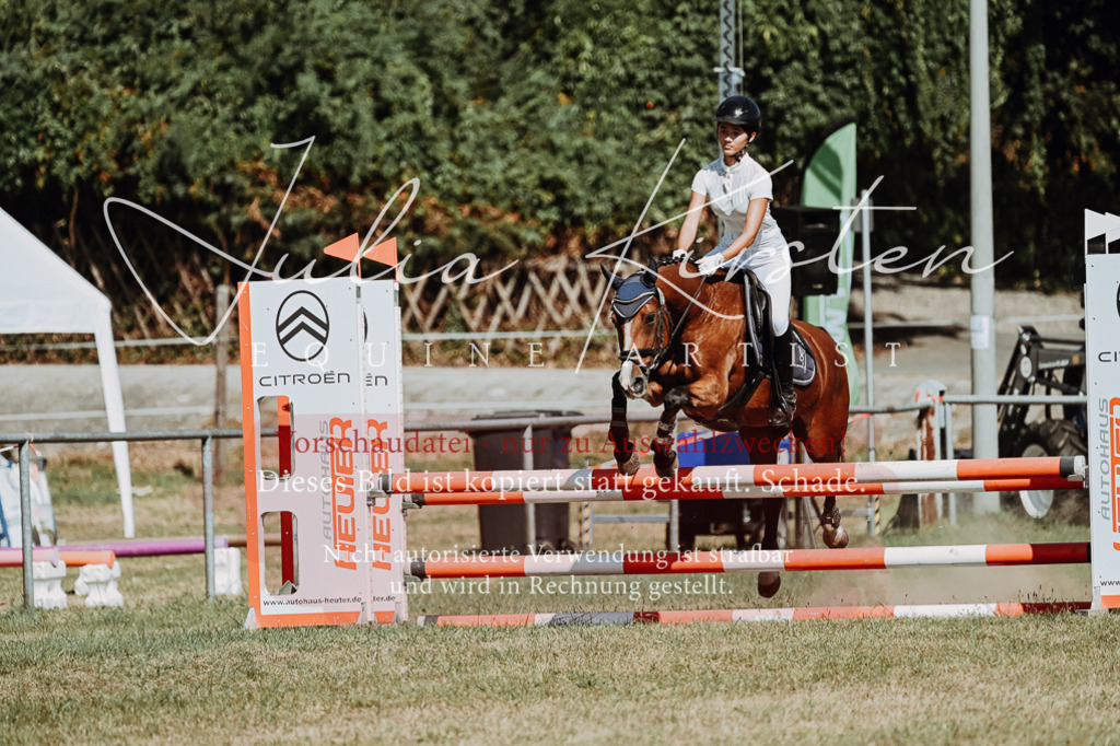 DSC_9887 | Pferde- und Turnierfotografie in Westsachsen. Pferdeportraits, Auftragszeichnungen und intuitive Kunst.