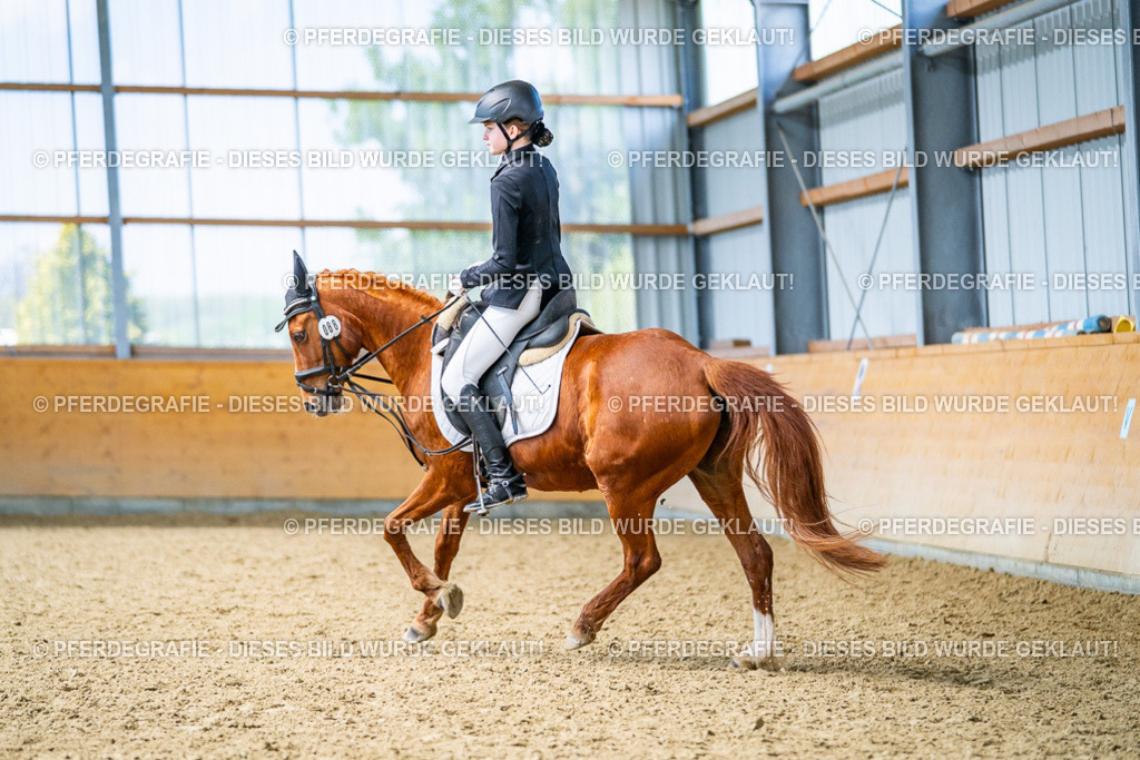 DSC03712 | Pferdegrafie