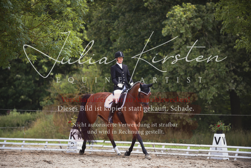 DSC_1021 | Pferde- und Turnierfotografie in Westsachsen. Pferdeportraits, Auftragszeichnungen und intuitive Kunst.