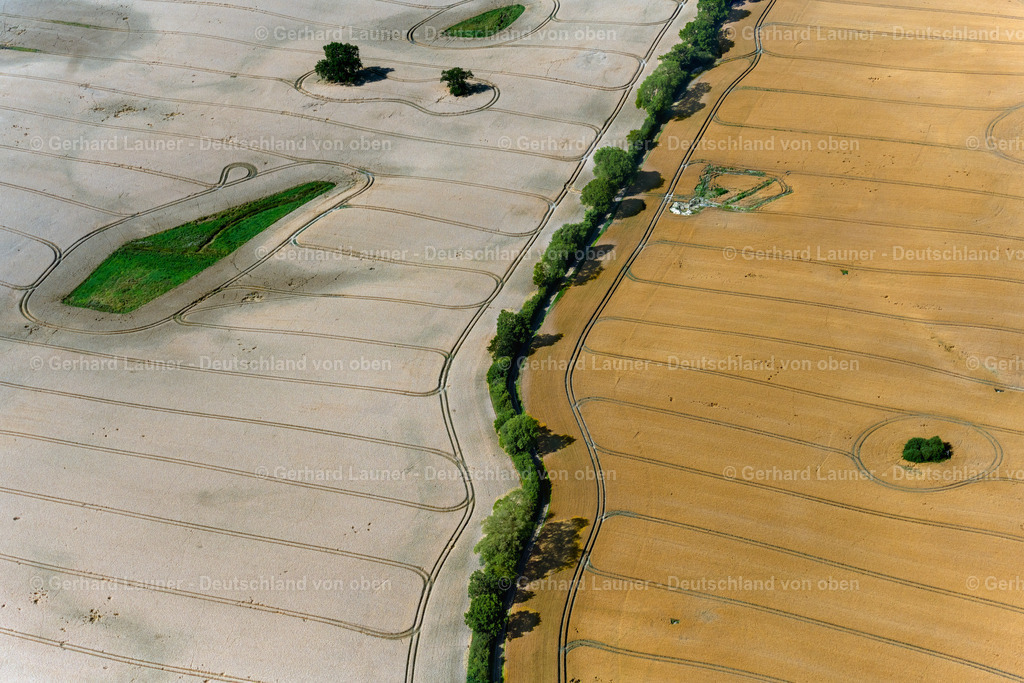 4038006 | Ostseeküstenlandschaft bei KASSEEDORF 07.08.2020 Baumreihe an einer Landstraße an einem Feldrand in Kasseedorf im Bundesland Schleswig-Holstein, Deutschland. // Row of trees on a country road on a field edge in Kasseedorf in the state Schleswig-Holstein, Germany. Foto: Gerhard Launer