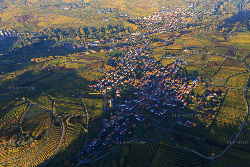 Luftbild: Winzerdorf am Haardtrand in Herbstfarben aus Westen in Birkweiler im Bundesland Rheinland-Pfalz in Deutschland. Foto: IMG_095705.jpg vom 30.10.2016 durch Werner Riehm/FLY-FOTO.de