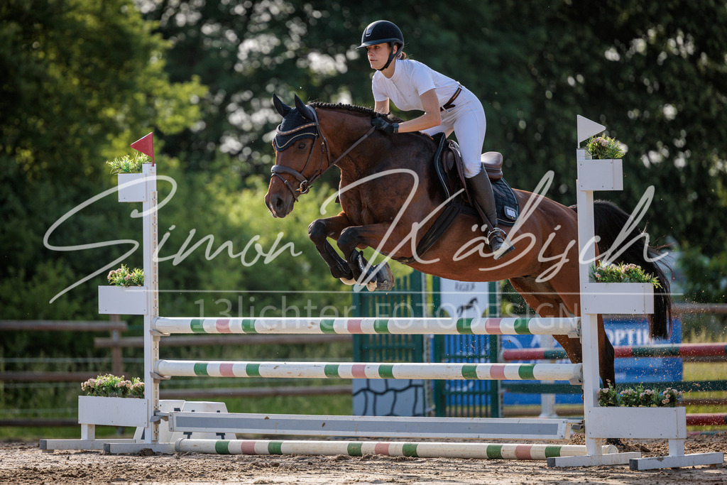 20260529-_3LI0904 | Tierfotografie Pferde, Hunde, Katzen, Haustiere.
Turnierfotografie Reitturniere, Reiten, Springreiten, Dressur in Hanau, dem Main-Kinzig-Kreis und dem Rhein-Main- Gebiet um Frankfurt
