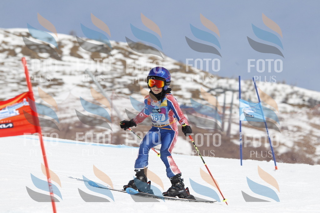 _U3G1848 | holidayphoto