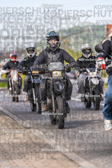 MSFotoService-442 | MSFotoService - Realisiert mit Pictrs.com