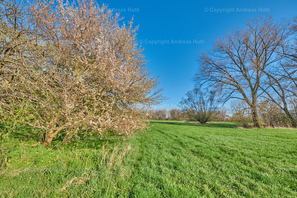 In der Elsteraue bei Predel 05 | Bedeutsame Landschaften Deutschlands - Realisiert mit Pictrs.com