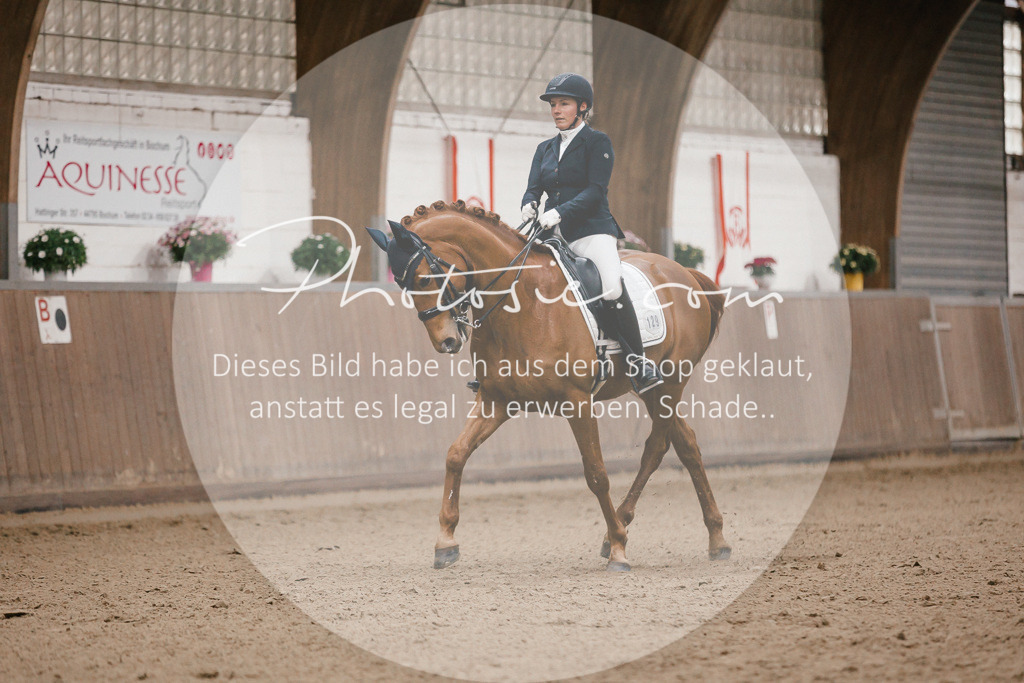 3I6A8872 | Stimmungsvolle Portraits und Reitsportfotografie im Ruhrgebiet und im Münsterland.

Pferdefotografie, Hundefotografie, Tierfotografie, Reportagen, Portraits von Tier und Mensch, Turnierfotografie in Bochum, Recklinghausen, Marl, Haltern am See, Dülmen.. - Realisiert mit Pictrs.com