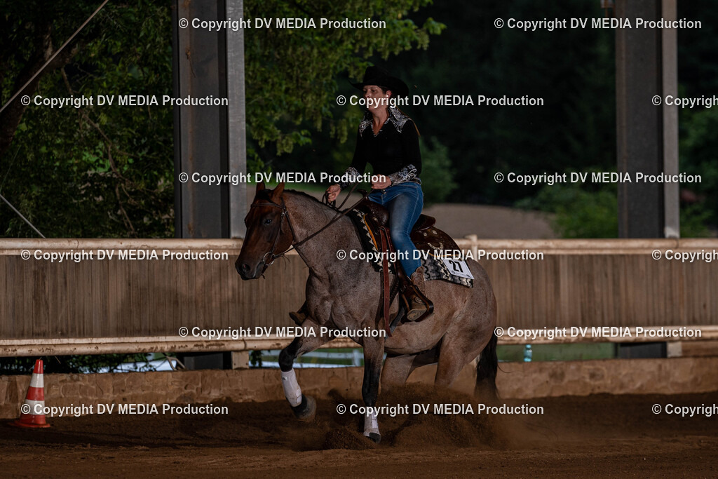 Erbach Tag 1-1277 | dv-media-shop - Realisiert mit Pictrs.com