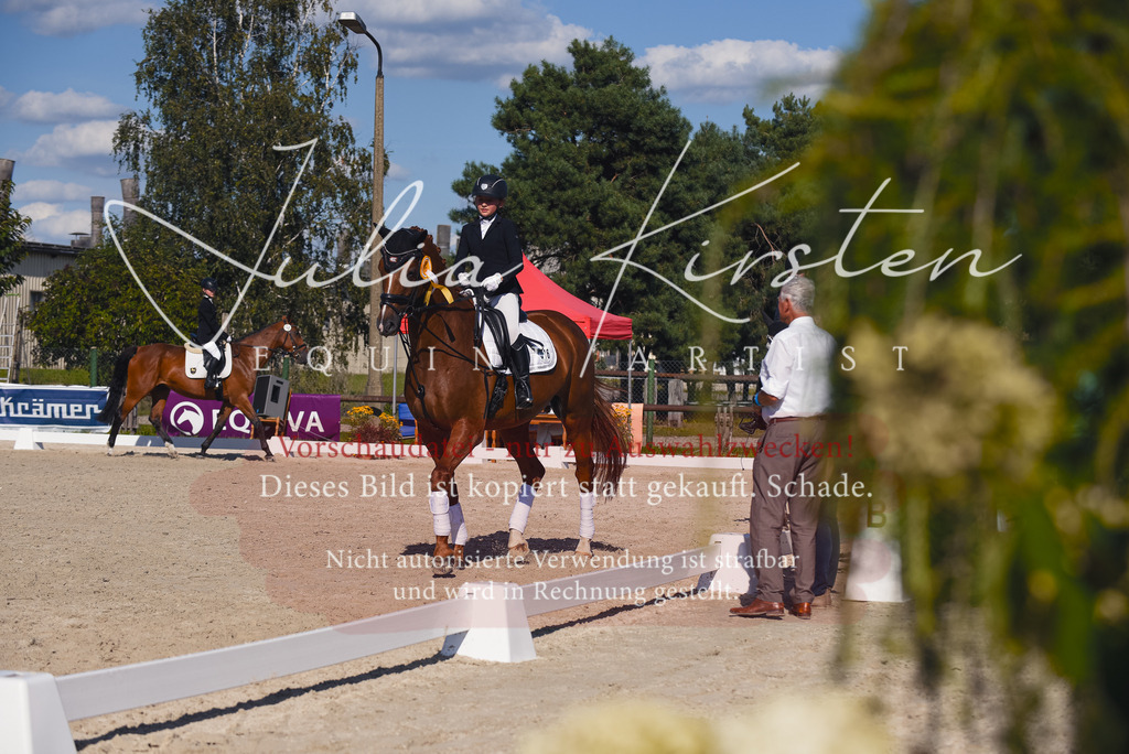DSC_0236 | Pferde- und Turnierfotografie in Westsachsen. Pferdeportraits, Auftragszeichnungen und intuitive Kunst.